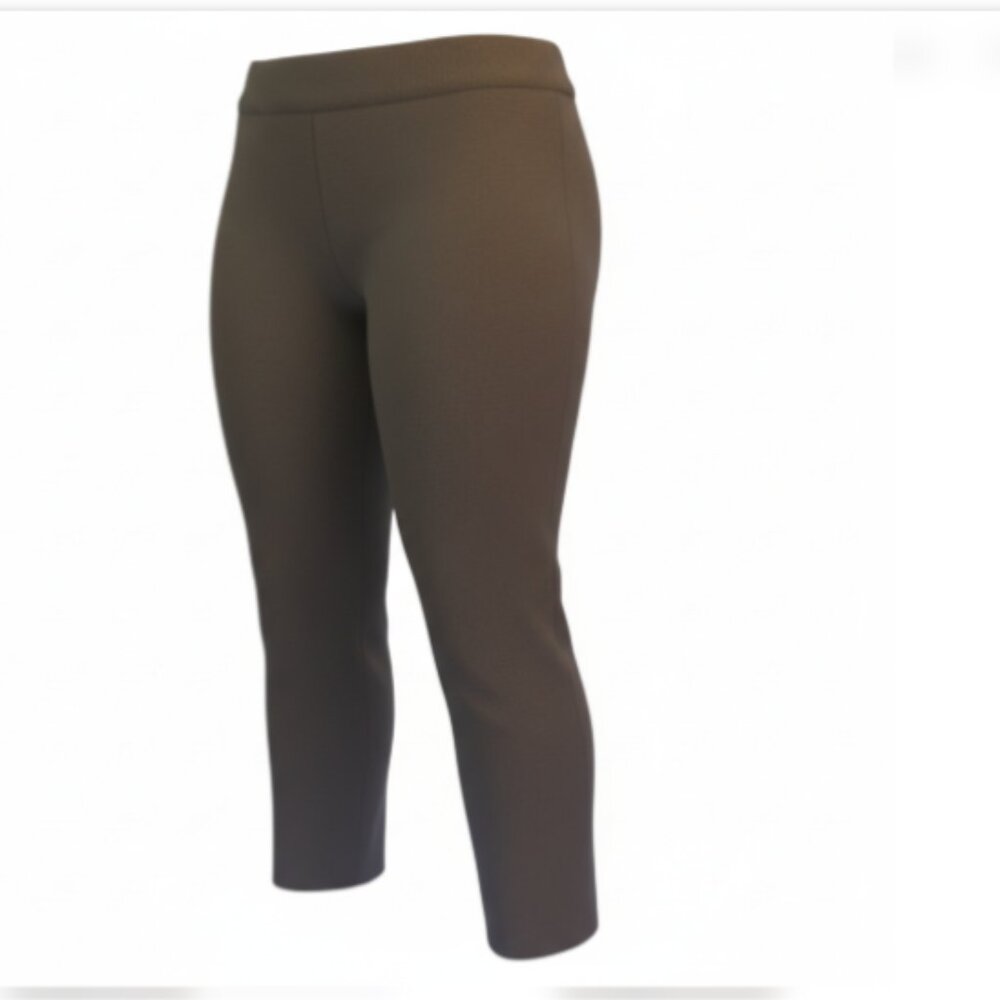 Roz & Ali Dress Pants 24W NEW Brown Herringbone Tummy Control Stretch
